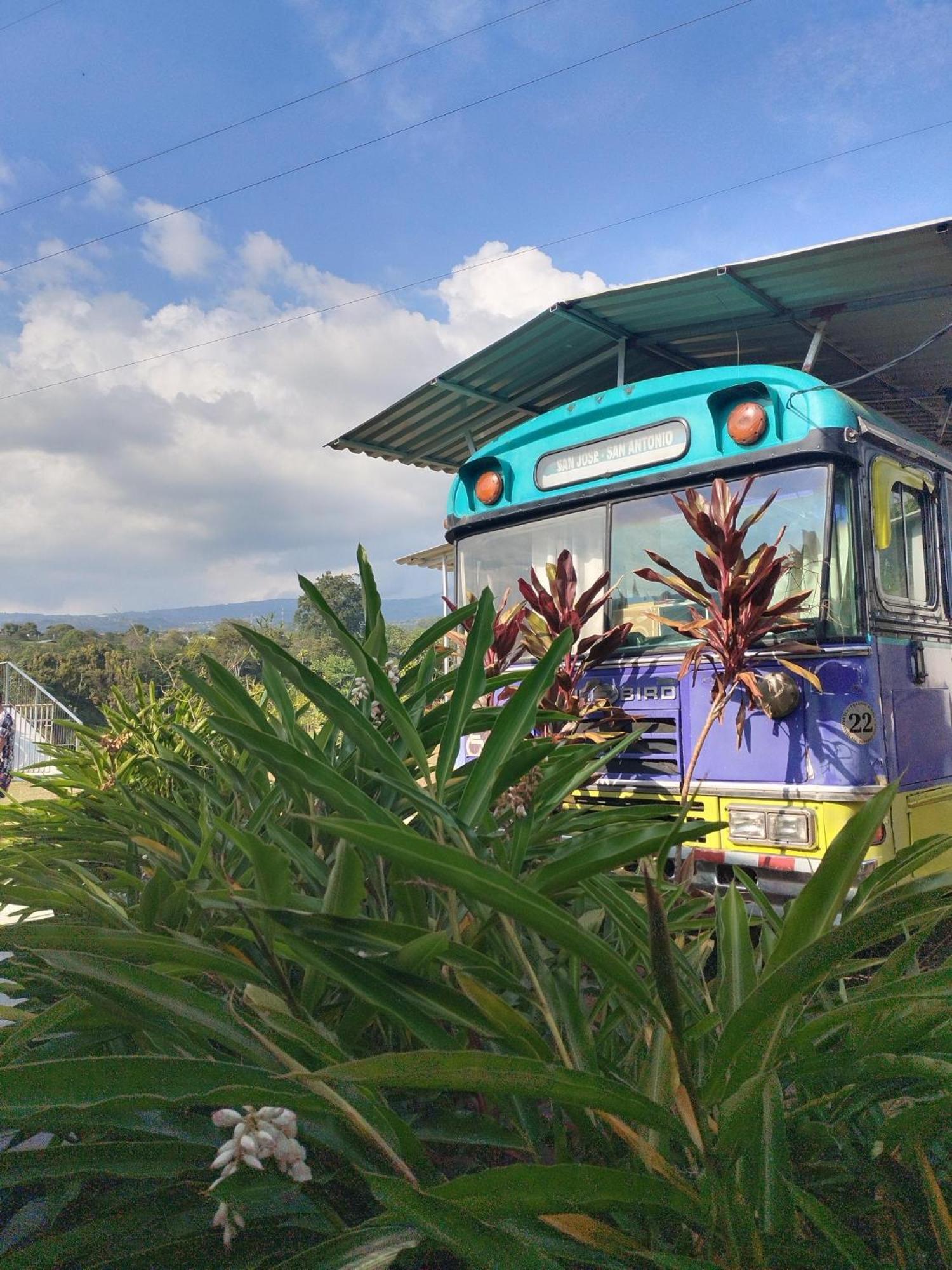 Dreamcatcher House Bus Experience 2 Sarchí 外观 照片